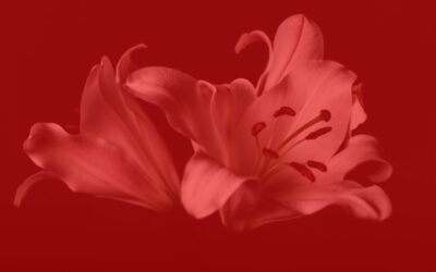 Grieving and Funeral Planning
